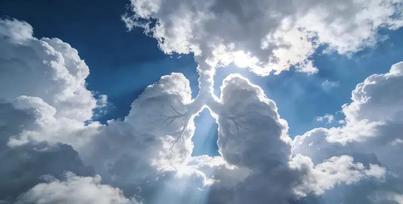 湘西肺癌靶向120基因检测（组织）图片1