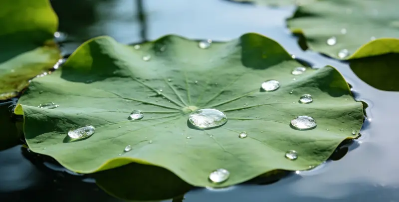 湘西乳腺癌21基因mRNA表达分析图片1