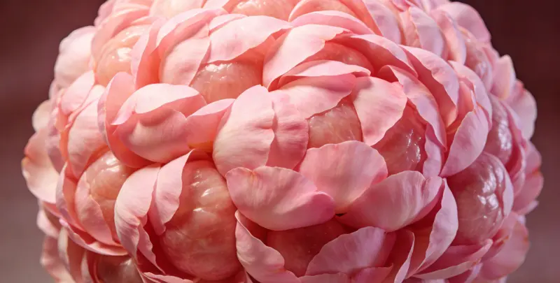 湘西BRCA1/2乳腺癌卵巢癌基因检测图片1